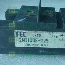 2MI100F025