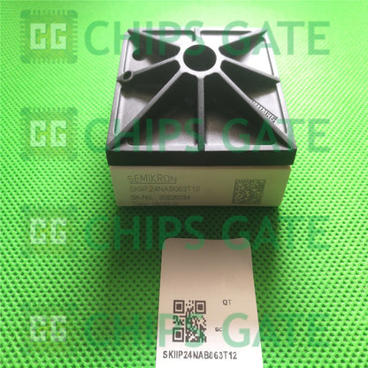 SKIIP24NAB063T12