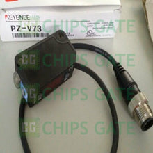 PZV73