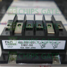 EVM31060