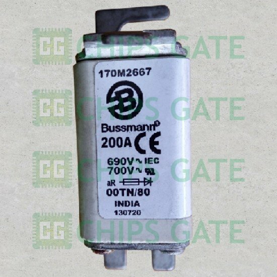 Bussmann 170M2667