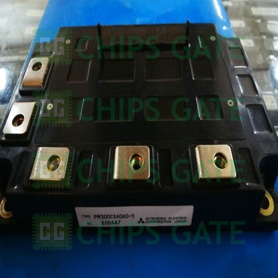 PM300CSA0605