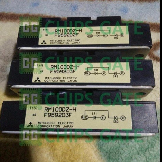 RM100DZH