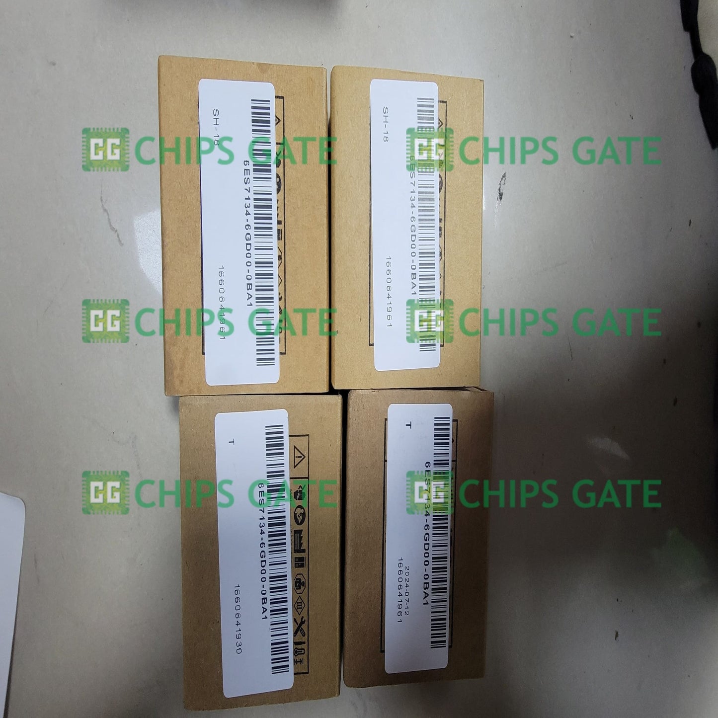6ES7134-6GD00-0BA1