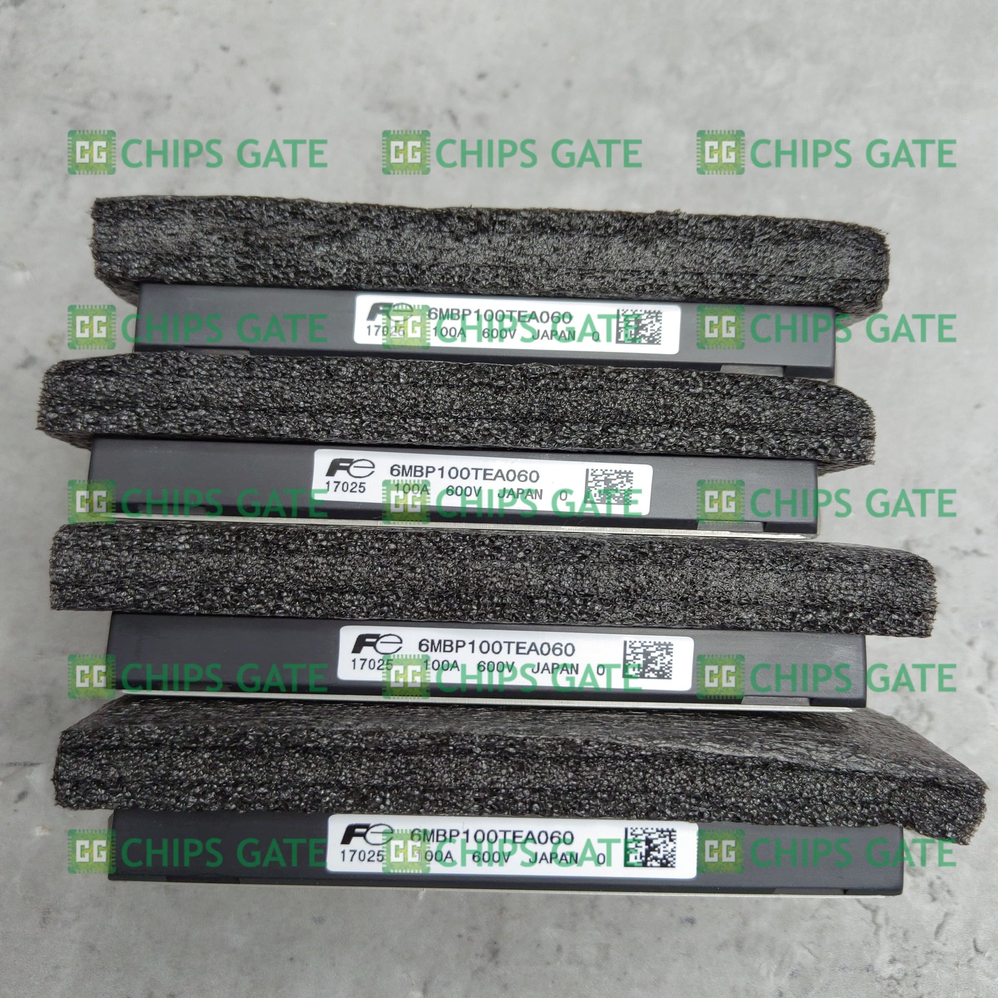6MBP100TEA060