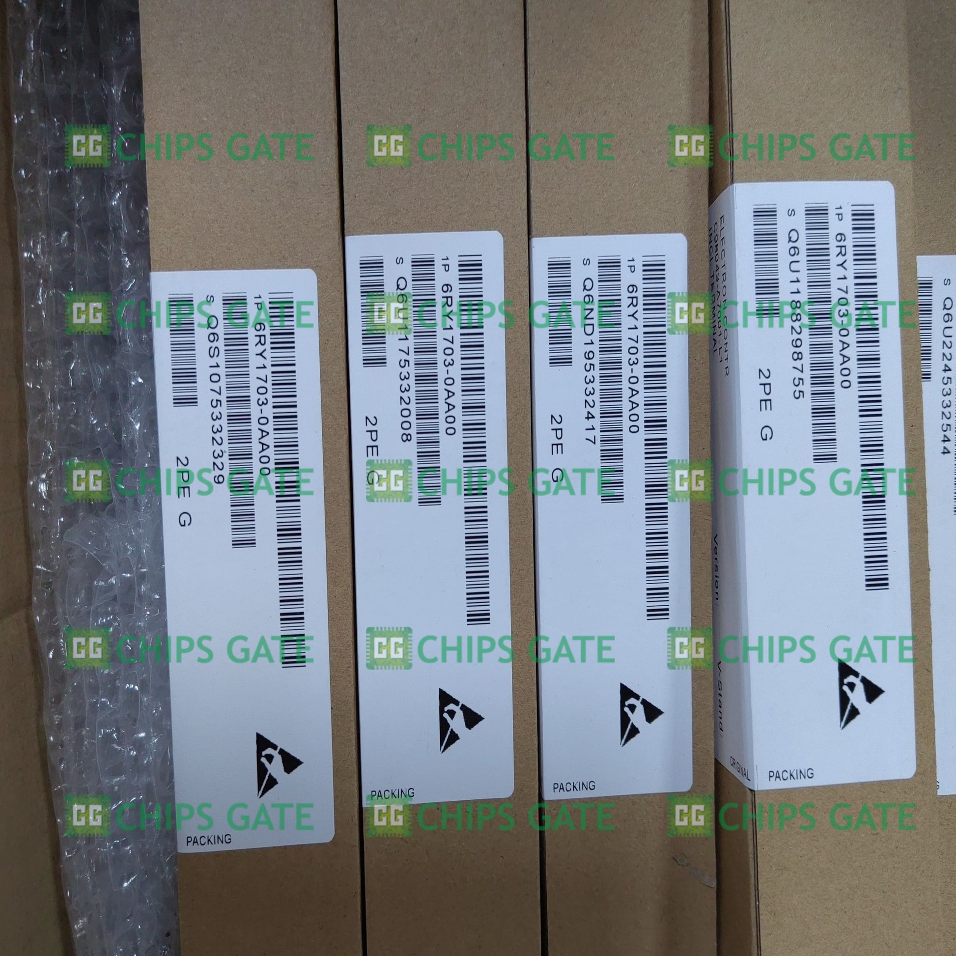 6RY17030AA00