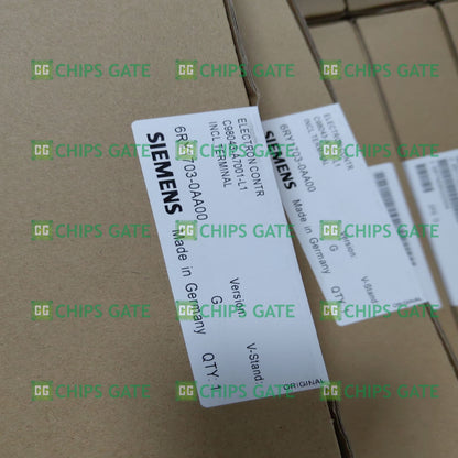 6RY17030AA00