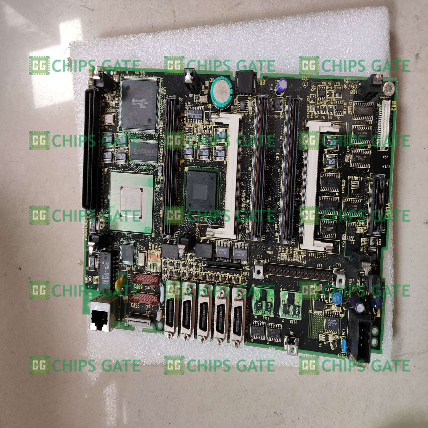 A20B81000661