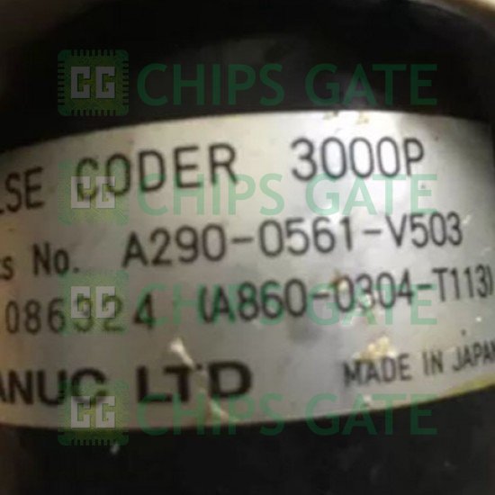 A2900561V503
