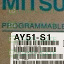 AY51S1