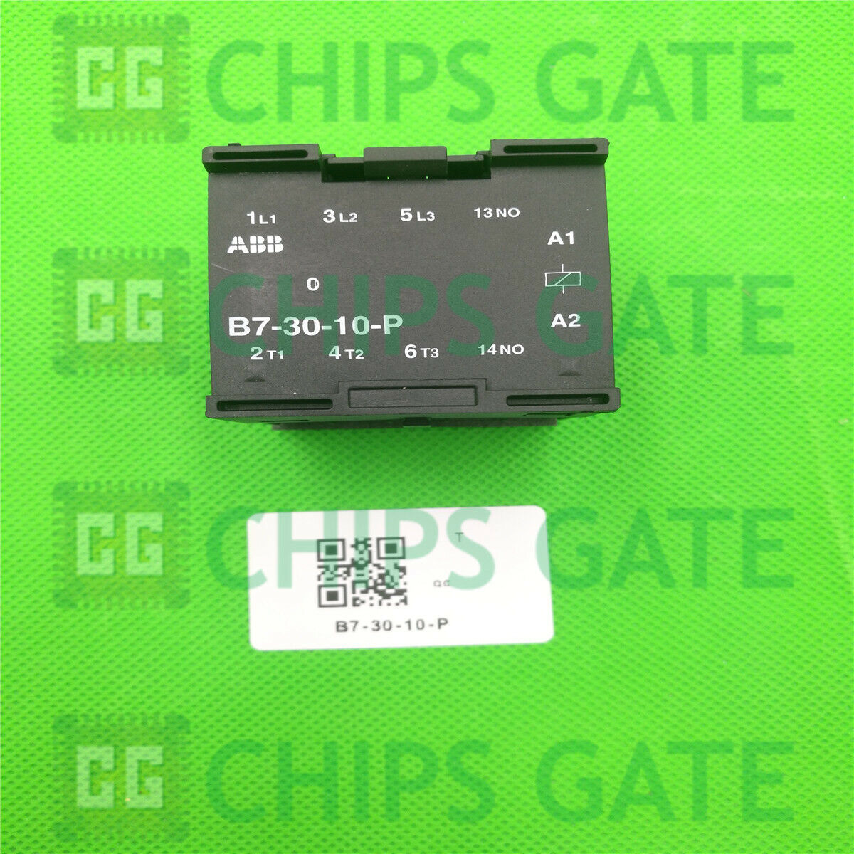 B73010P