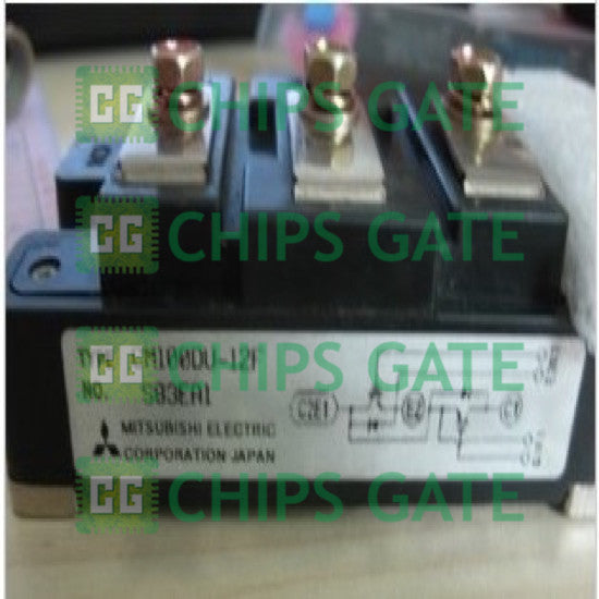 CM100DUS12F