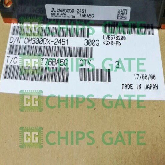CM300DX24S1
