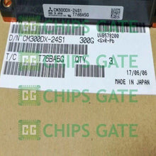 CM300DX24S1