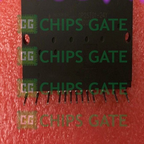 CP25TD124Y