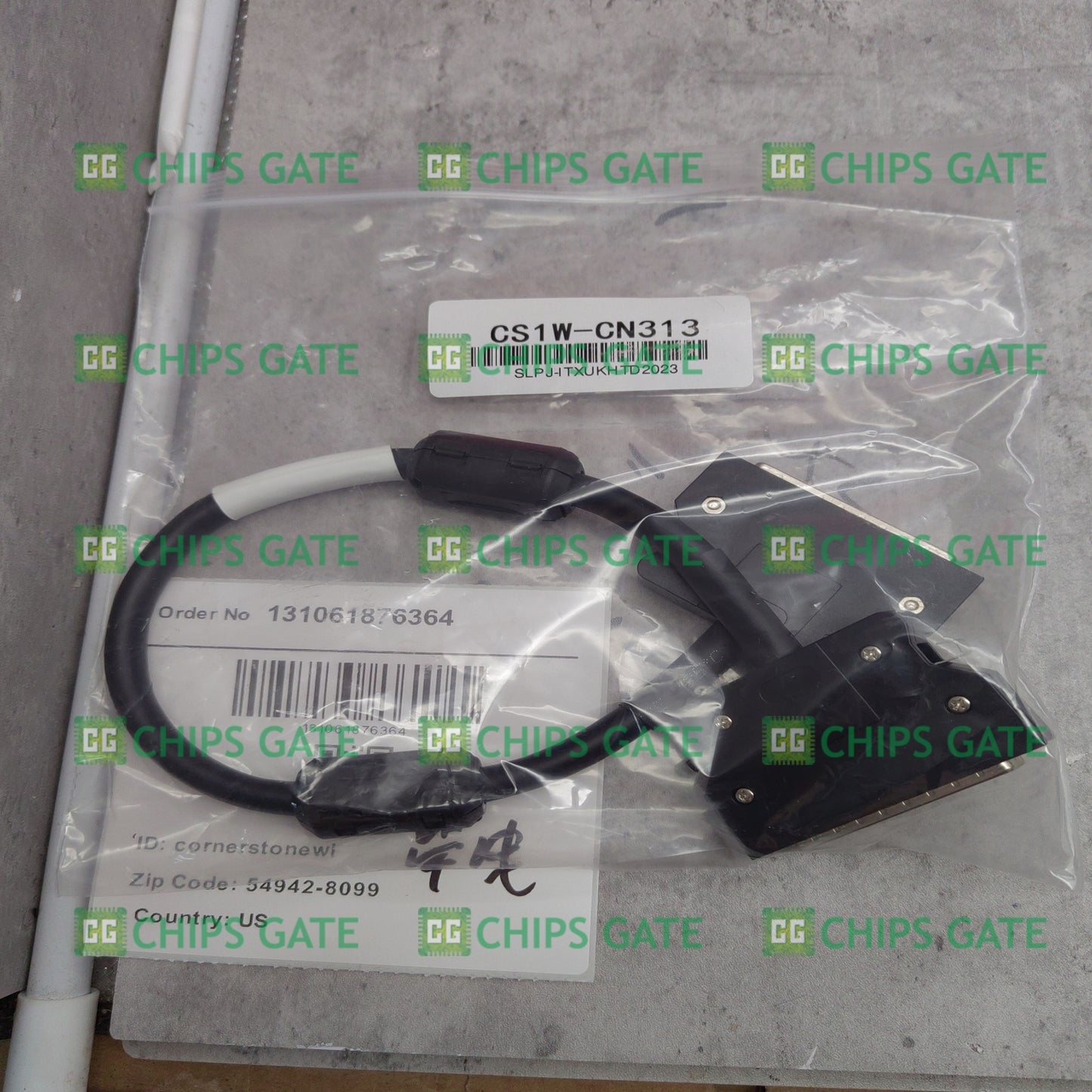 CS1WCN313