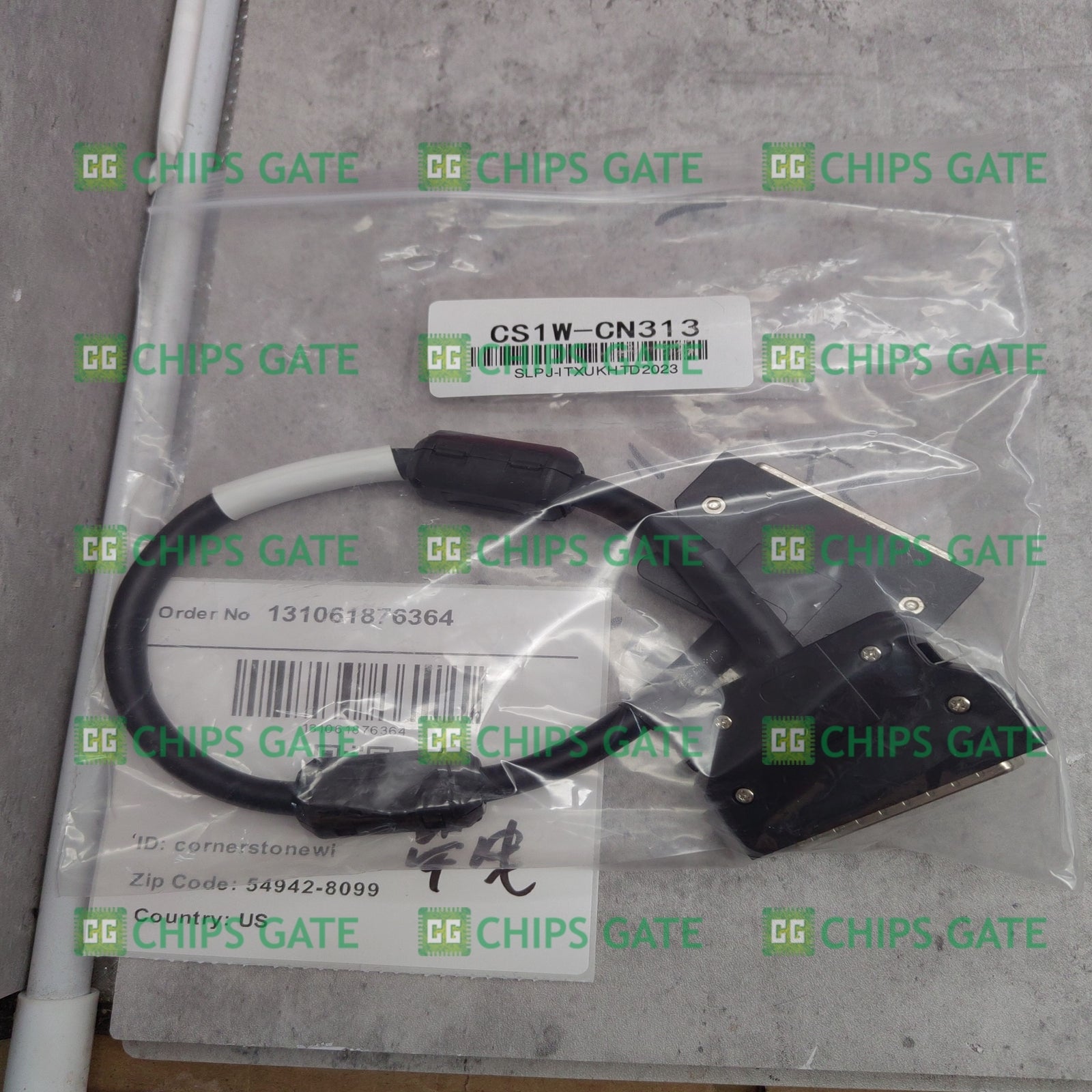 CS1WCN313