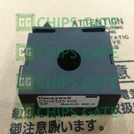 CSNS230600