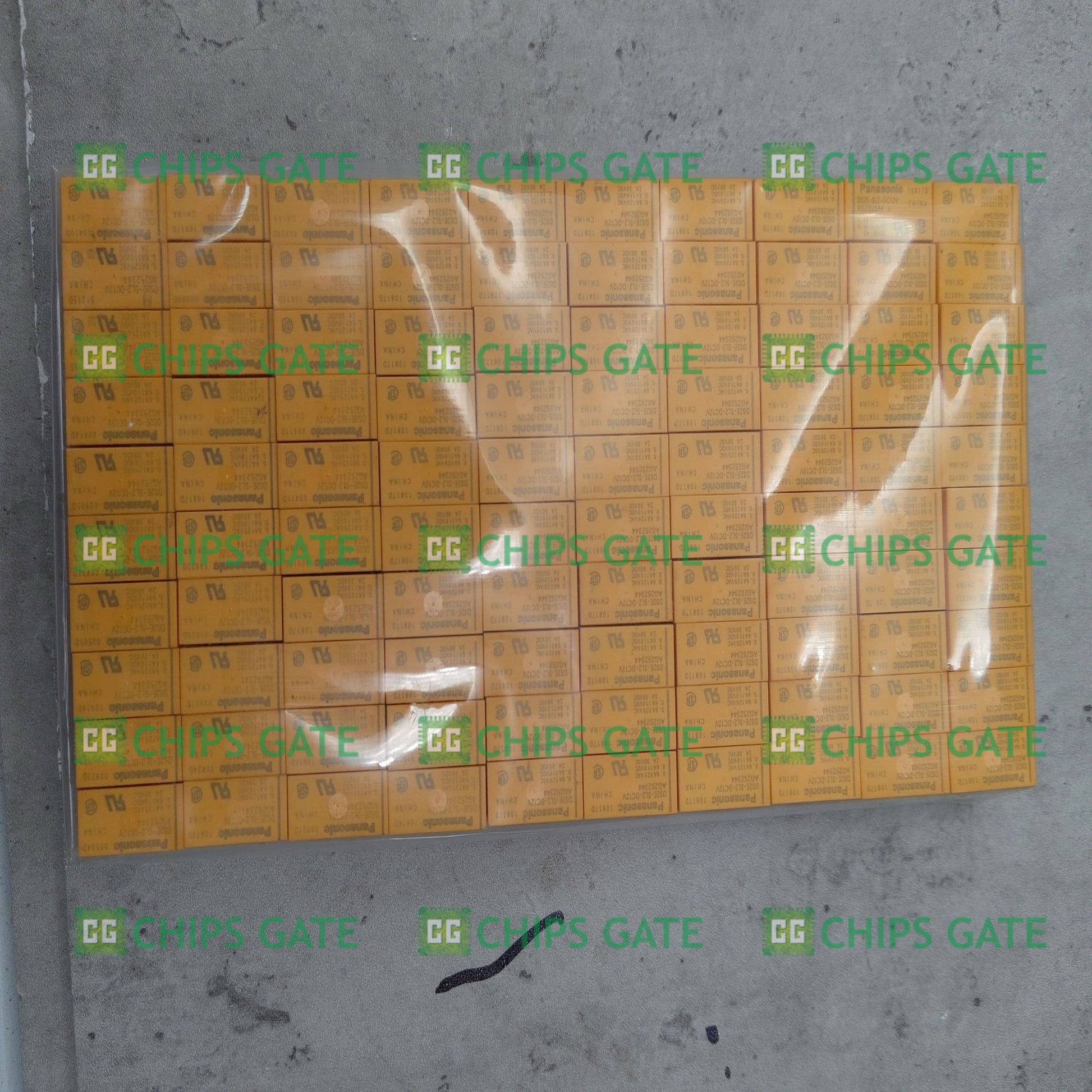 Panasonic DS2E-SL2-DC12V