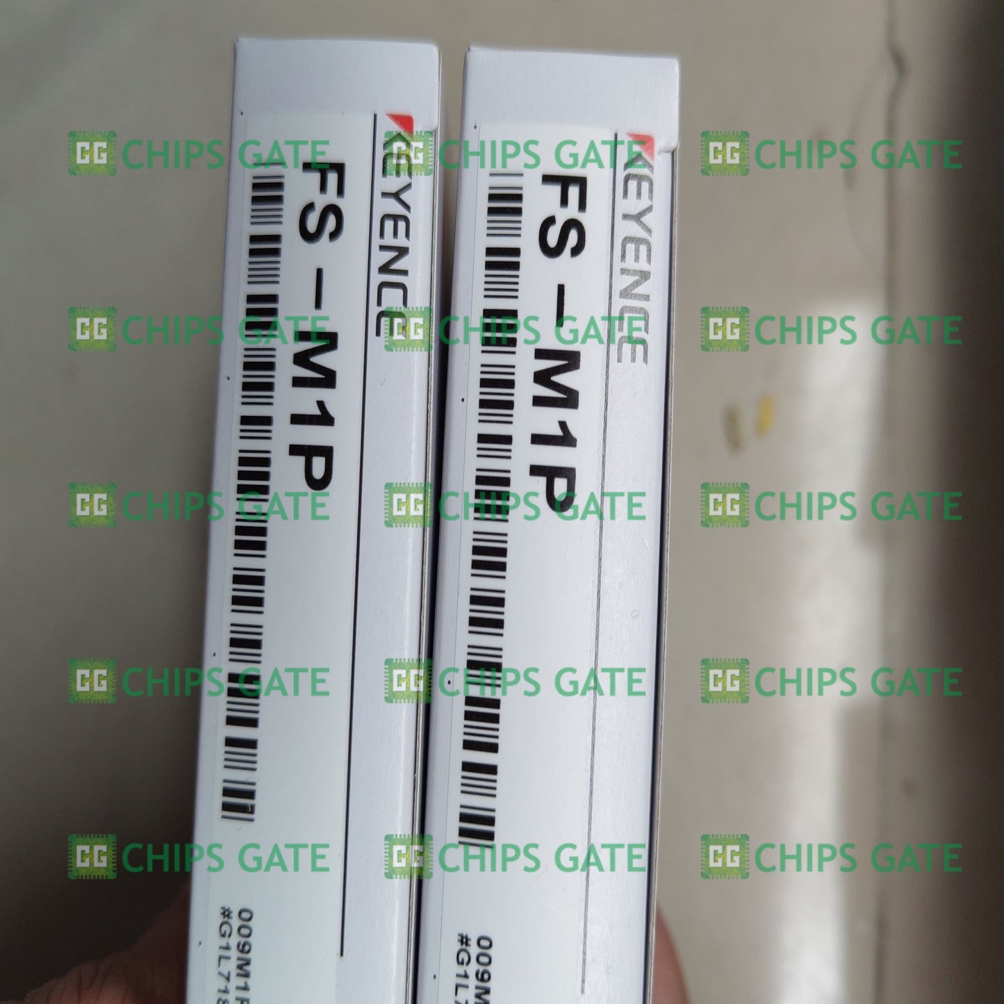 FSM1P