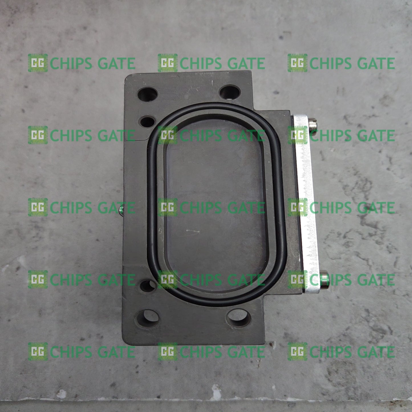 Euchner GSBF02R12-502-MC1806
