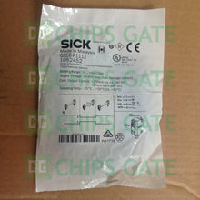 GSE6P1112