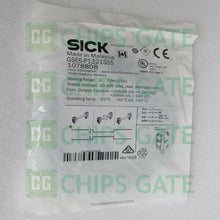 GSE6P1321S55