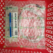 IZN1001P06