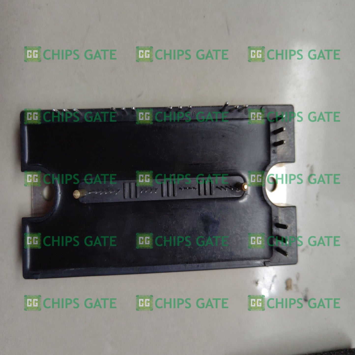 PM100RL1B060