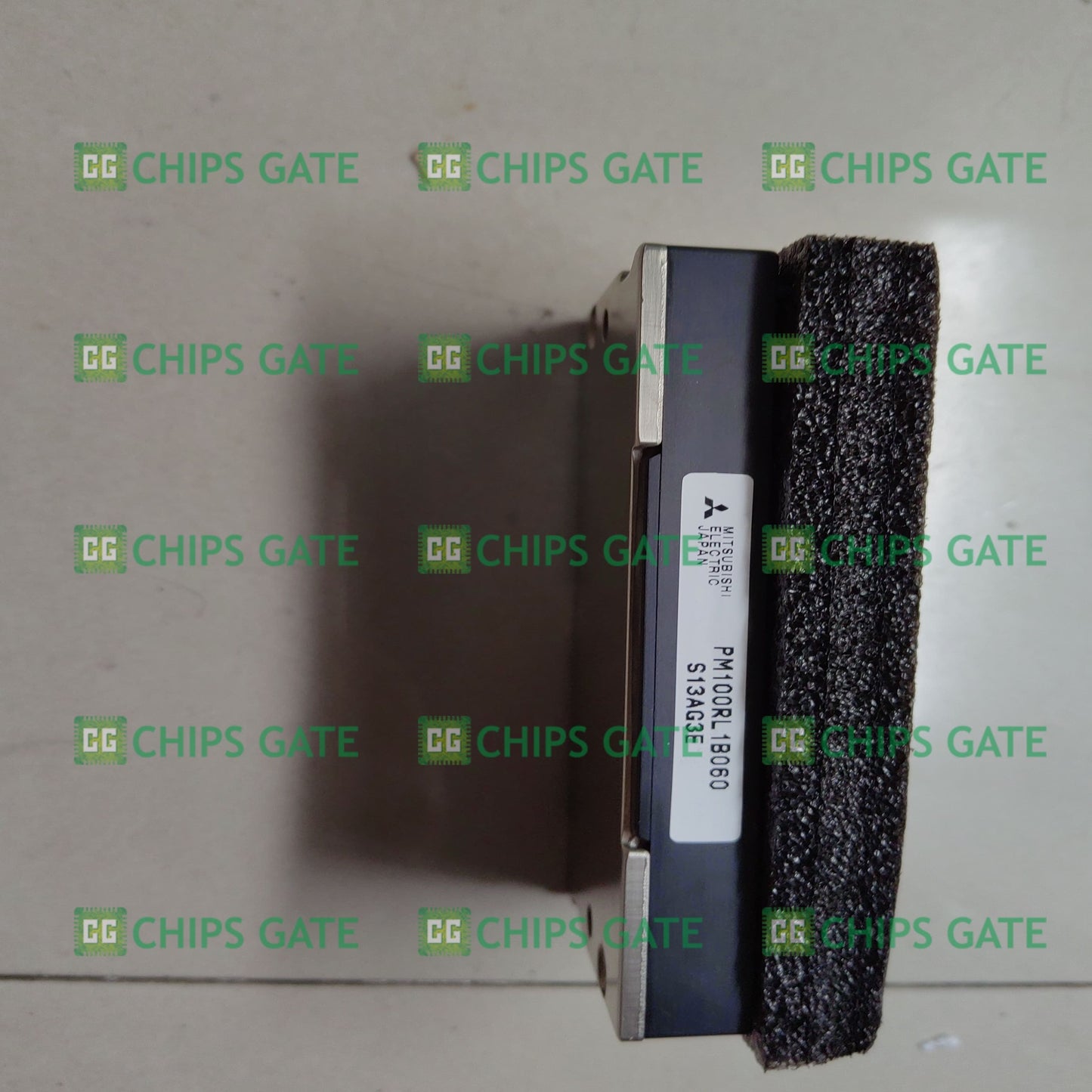 PM100RL1B060