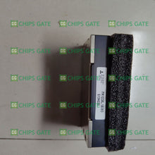 PM100RL1B060