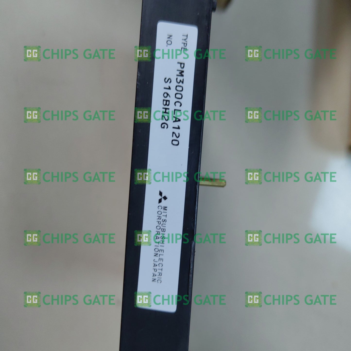 PM300CLA120