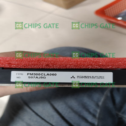 PM300CLA060
