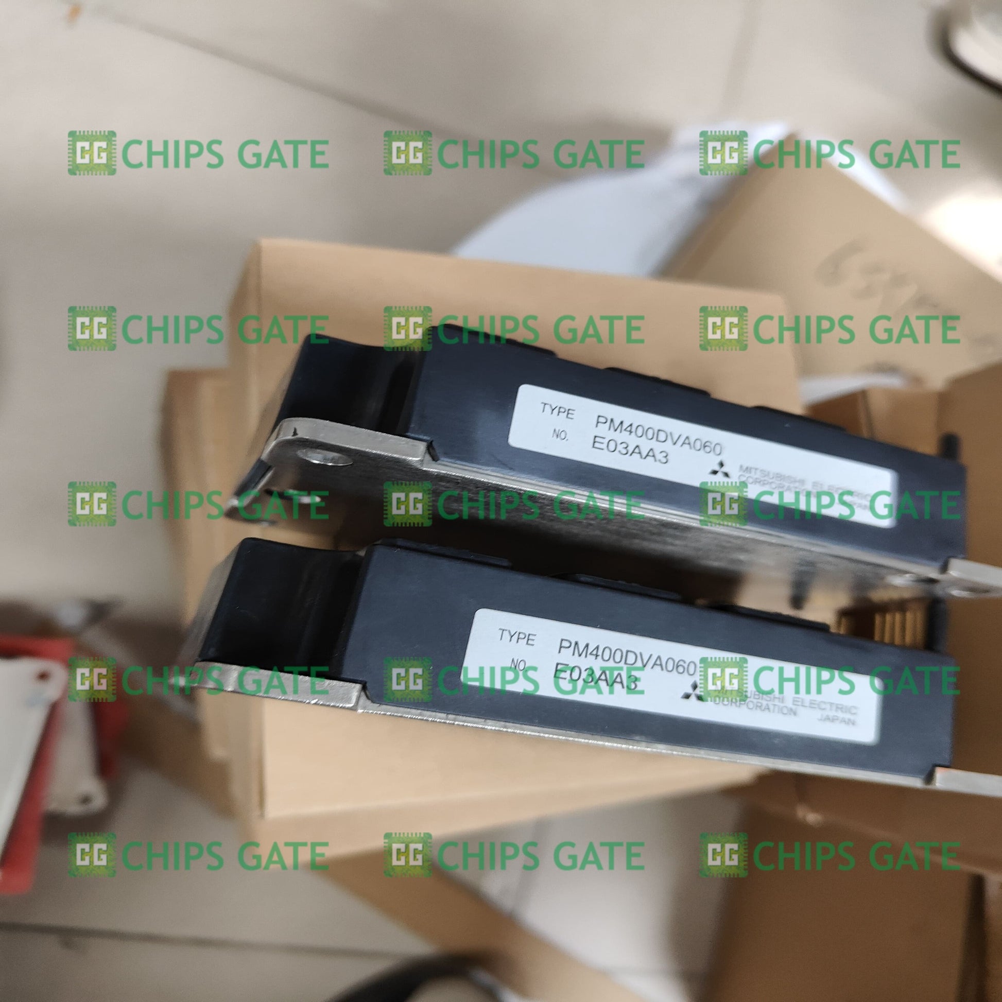PM600DVA060