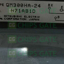 QM300HA24B