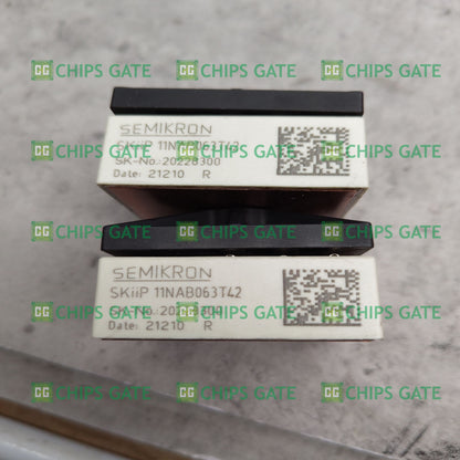 SKIIP11NAB063T42