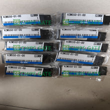 VZM5500100