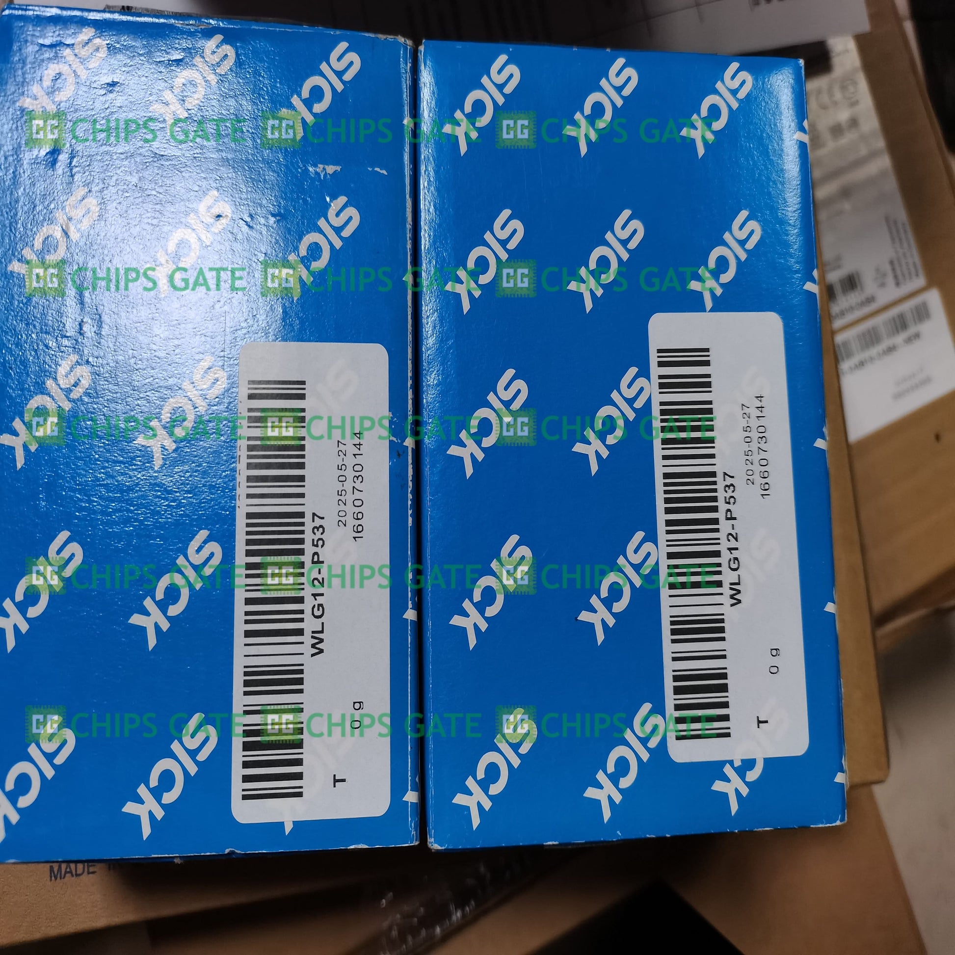 WLG12P537